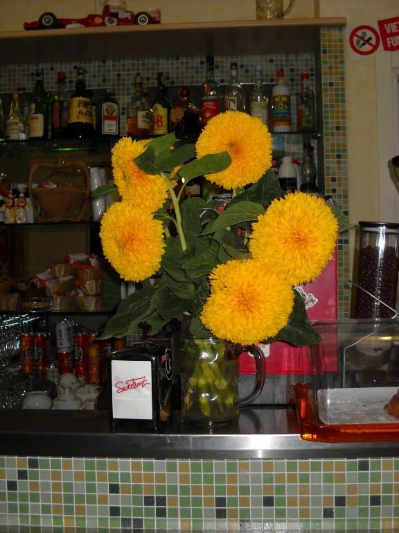 Hotel La Playa San Benedetto del Tronto Ngoại thất bức ảnh